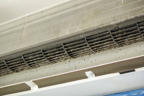 Best Air Duct Sanitizing Services  in North Lynnwood, WA